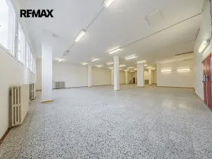 Pronájem obchodního prostoru, Štětí, Obchodní, 460 m2