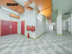 Pronájem obchodního prostoru, Štětí, Obchodní, 460 m2