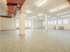 Pronájem obchodního prostoru, Štětí, Obchodní, 1366 m2