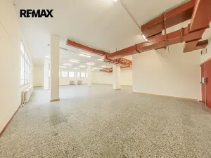 Pronájem obchodního prostoru, Štětí, Obchodní, 1366 m2