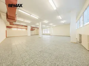 Pronájem obchodního prostoru, Štětí, Obchodní, 1366 m2