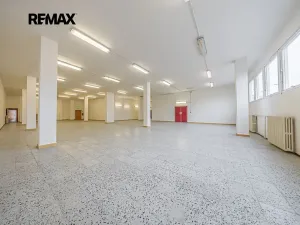 Pronájem obchodního prostoru, Štětí, Obchodní, 1366 m2