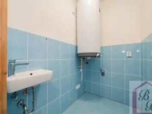 Prodej rodinného domu, Mladá Boleslav, 154 m2