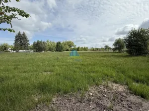 Prodej zahrady, Františkovy Lázně - Horní Lomany, Horní, 1146 m2