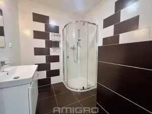 Pronájem bytu 1+kk, Brno, Věstonická, 38 m2