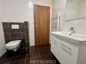 Pronájem bytu 1+kk, Brno, Věstonická, 38 m2