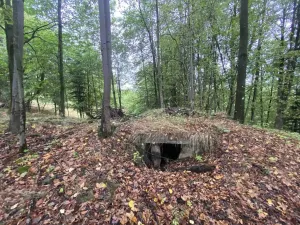 Prodej pozemku, Benešov nad Černou - Kuří, 3849 m2