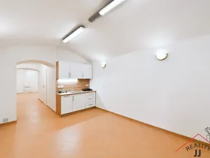 Prodej bytu 2+kk, Praha - Nusle, Oldřichova, 44 m2
