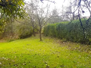 Prodej zahrady, Libina, 239 m2