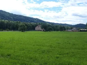 Prodej pozemku pro bydlení, Loučná nad Desnou, 36840 m2