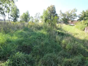 Prodej pozemku pro bydlení, Kaliště, 1836 m2