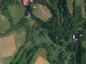 Prodej lesa, Kouřim, 87548 m2