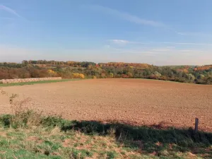 Prodej louky, Kouřim, 87548 m2
