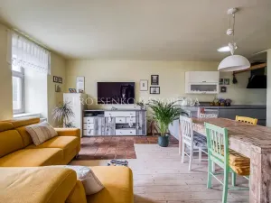 Prodej vícegeneračního domu, Pavlov, 354 m2