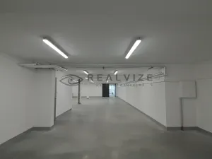 Prodej bytu 3+kk, České Budějovice, J. Dobrovského, 113 m2