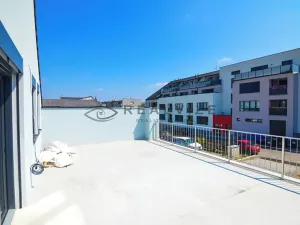 Prodej bytu 3+kk, České Budějovice, J. Dobrovského, 146 m2