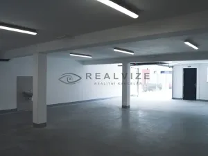 Prodej bytu 3+kk, České Budějovice, J. Dobrovského, 146 m2