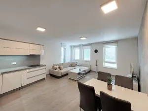 Pronájem bytu 3+kk, Ostrava - Moravská Ostrava, Důlní, 74 m2
