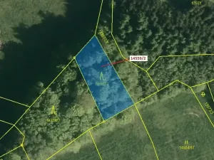 Dražba lesa, Hovězí, 605 m2