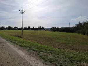 Dražba pole, Vrbice, 9030 m2