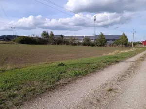Dražba pole, Vrbice, 9030 m2