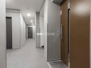 Pronájem ubytování, Praha - Nové Město, Opatovická, 1000 m2