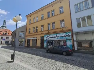 Prodej obchodního prostoru, Mladá Boleslav, Železná, 48 m2