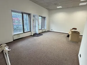 Prodej obchodního prostoru, Mladá Boleslav, Železná, 48 m2