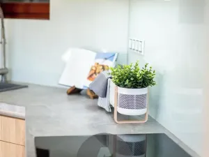 Prodej bytu 3+kk, Brno, Bratislavská, 80 m2