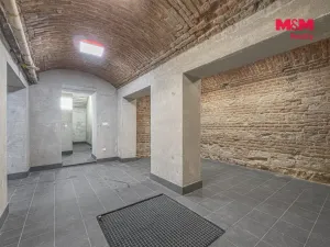 Prodej obchodního prostoru, Praha, Seifertova, 110 m2