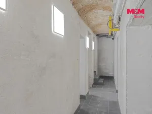 Prodej obchodního prostoru, Praha, Seifertova, 110 m2
