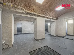Prodej obchodního prostoru, Praha, Seifertova, 110 m2