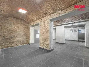 Prodej obchodního prostoru, Praha, Seifertova, 110 m2