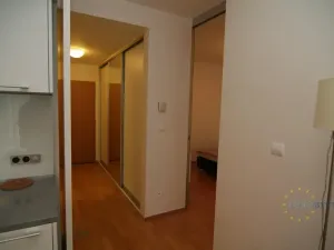 Pronájem bytu 2+kk, Praha - Žižkov, Pitterova, 70 m2