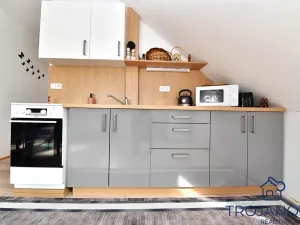 Prodej činžovního domu, Petroupim, 306 m2