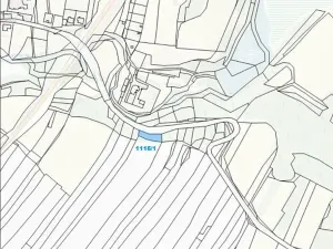 Prodej lesa, Strmilov, 729 m2
