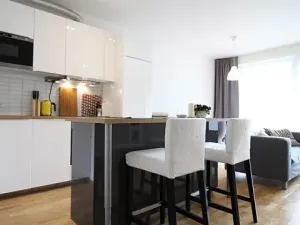Prodej bytu 1+kk, Brno, Božetěchova, 45 m2