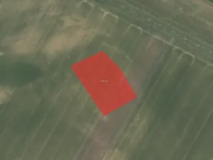 Prodej pole, Nový Vestec, 5630 m2