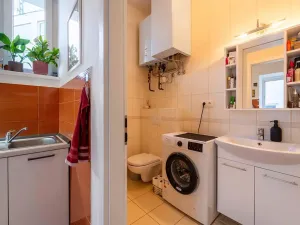 Pronájem bytu 1+1, Olomouc, Palackého, 35 m2