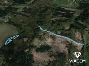 Prodej podílu lesa, Bojkovice, 3337 m2
