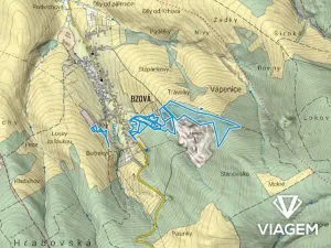 Prodej podílu lesa, Bojkovice, 3337 m2