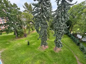 Prodej bytu 3+1, Hradec Králové, Pouchovská, 63 m2