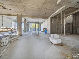 Prodej obchodního prostoru, Brno, 172 m2