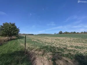 Prodej pozemku pro bydlení, Ježkovice, 56184 m2