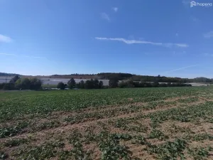 Prodej pozemku pro bydlení, Ježkovice, 56184 m2