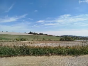 Prodej pozemku pro bydlení, Ježkovice, 56184 m2