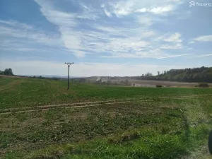 Prodej pozemku pro bydlení, Ježkovice, 56184 m2