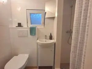 Prodej obchodního prostoru, Brno, Rokycanova, 62 m2