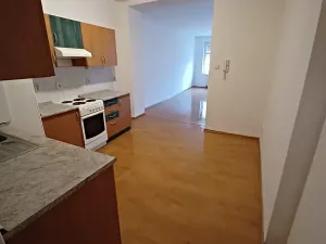 Pronájem bytu 1+1, Plzeň, Pod Všemi svatými, 54 m2