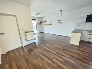 Pronájem bytu 2+kk, Brno, Řípská, 59 m2
